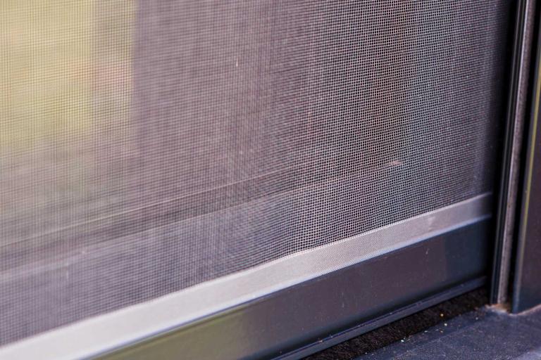 Moustique tigre dans le Haut-Rhin : comment protéger efficacement sa maison à Mulhouse, Saint-Louis et Altkirch ?