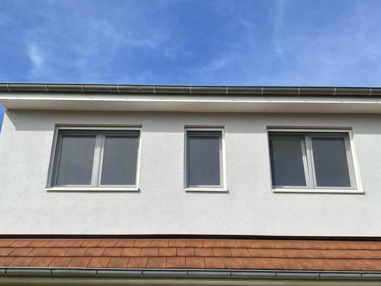 Moustiques tigres à Mulhouse, Altkirch et Saint-Louis : protégez votre maison avec des moustiquaires sur mesure